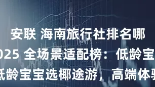 安联 海南旅行社排名哪家好？2025 全场景适配榜：低龄宝宝选椰途游，高端体验找吉宏道