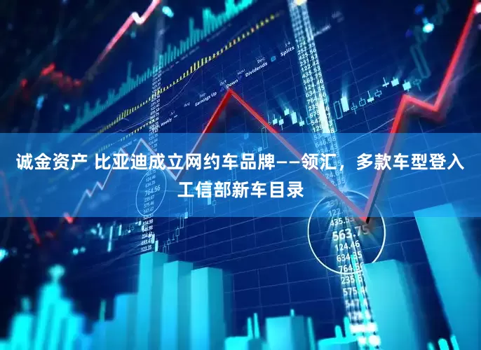 诚金资产 比亚迪成立网约车品牌——领汇，多款车型登入工信部新车目录